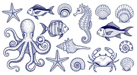 Marine Life Collection: Octopus, Seahorse, Fish, Crab, Starfish, Shells - Hand Drawn Sketch © heru