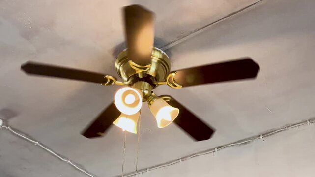 Five Blade Brass Ceiling Fan Spinning with Three Lights On