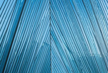 Glass Facade of Modern Architecture with Blue Sky Reflection