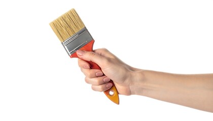 A hand holds a paint brush, bristles upward, on a white background, handle colored red and yellow