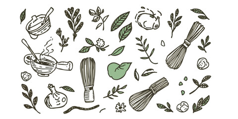 Collection of hand-drawn botanical elements and matcha preparation tools, presented in a doodle art style