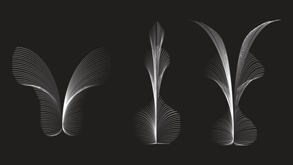 Black vintage feather quill vector illustration isolated on white background with decorative nature design elements © Abdullah Rubel