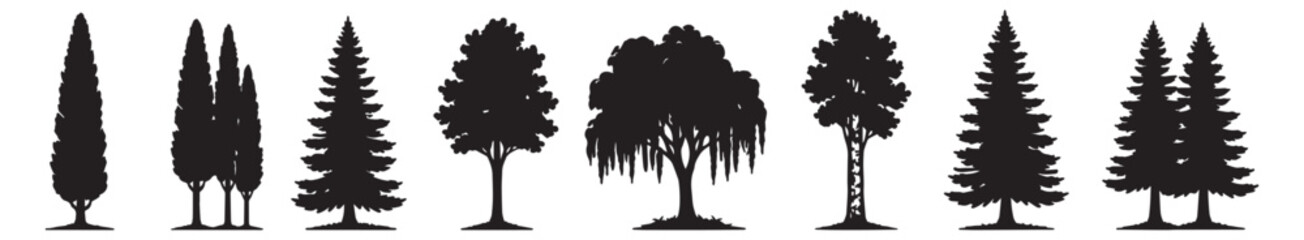 Set of tree silhouettes coniferous trees, spruce, pine, cypress, thuja, weeping willow vector © bleskk