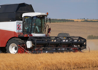 Fototapeta premium Harvesting process using a combine harvester in a wheat field during the daytime