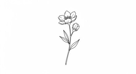Delicate hand-drawn flower illustration with leaves and stem. © Rio