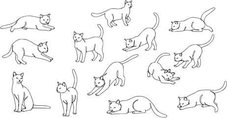 Obraz premium Cats Line Art: Collection of 12 Feline Illustrations