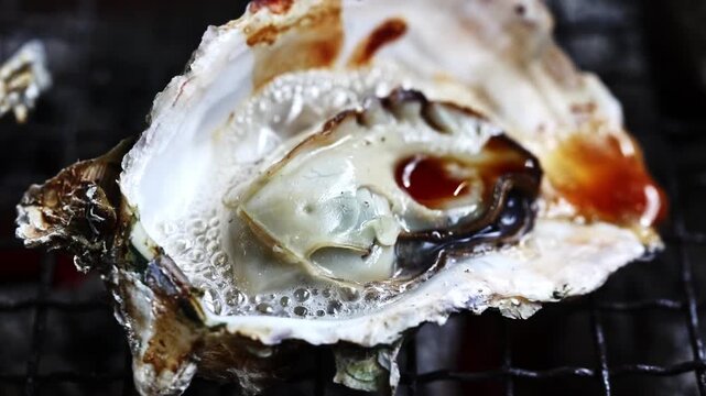 Grilled Oysters on BBQ in Itoshima, Fukuoka &ndash; Delicious Sizzling Seafood B-Roll