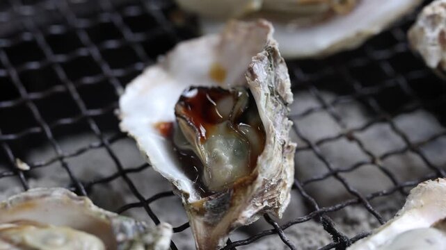Grilled Oysters on BBQ in Itoshima, Fukuoka &ndash; Delicious Sizzling Seafood B-Roll