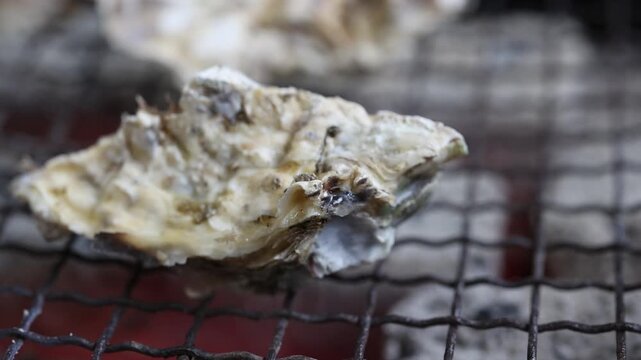 Grilled Oysters on BBQ in Itoshima, Fukuoka &ndash; Delicious Sizzling Seafood B-Roll