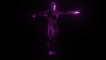 Obraz premium Body digital mesh