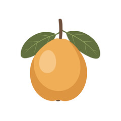 Cartoonish Loquat Fruit with Green Leaves and Brown Stem Isolated.