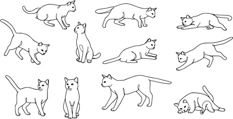 Cat Poses Line Art: Silhouette Collection of Felines in Various Positions © abenail