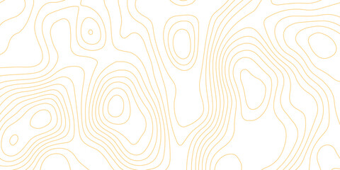 Topographic map background with geographic grid for hiking and mountain sport. luxury topographic wavy pattern and geographic grid map design. paper texture Imitation of a geographical map shades. © Abdur Rahman Safin 