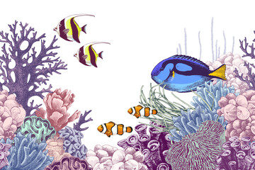 Fototapeta premium Underthesea vector background with coral reef and fishes
