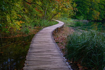 Naklejka premium Wooden boardwalk through forest nature. Scenic forest path with wooden walkway. Travel path along lake in forest. Boardwalk in autumn woodland. Peaceful forest trail with wooden boardwalk.