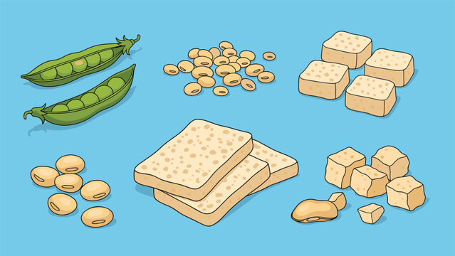 Comprehensive collection of soy protein products including fresh edamame, whole soybeans, block tofu, tempeh, and tofu cubes.