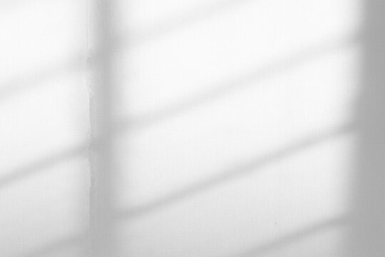 window shadow Tropical plant overlay element for portrait easy to use PNG