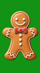 Fototapeta premium A cheerful gingerbread man with icing decorations on a green background
