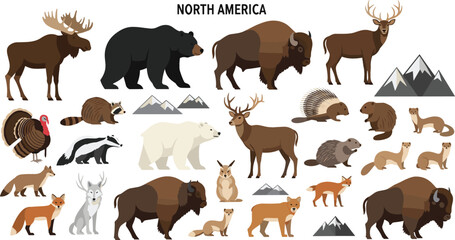 Fototapeta premium North America wildlife animals vector set featuring bison bear moose deer fox wolf raccoon porcupine and native mountain fauna illustration