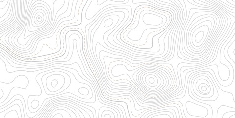 Topographic map background geographic line map with elevation assignments. Modern design with White background with topographic wavy pattern design.Abstract bacground. Vector illustration  © NAZMA
