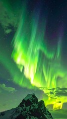 Fototapeta premium A vibrant green aurora borealis illuminates a snow-capped mountain