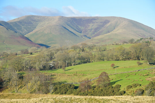 Brant Fell in the Howgill Fells seen from Tom Croft Hill near Sedbergh, North Yorkshire Dales 
