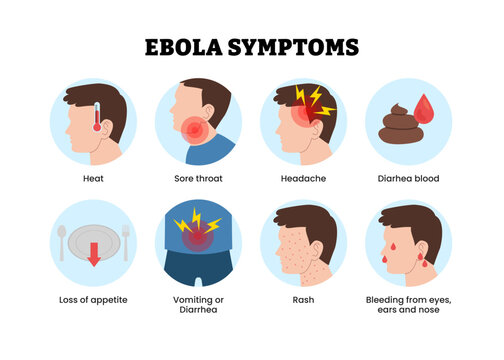 Ebola symptoms infographic poster design with man icon. Medical healthcare. Labeled heat, sore throat, headache, diarrhea blood, loss of appetite, vomiting, rash skin, bleeding eyes, ears, nose.