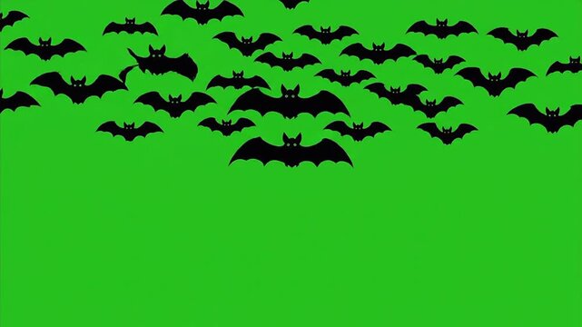 Bat Swarm Animation
