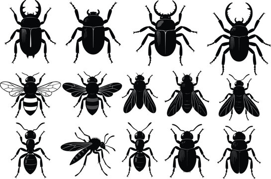 Insect silhouette illustration set, entomology artwork, beetle bee ant mosquito vector design, educational biology icon, black white nature symbol
