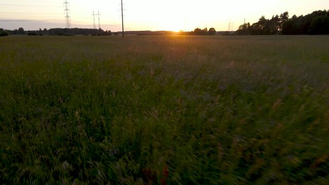 Fast low altitude drone flight over green rural farmland at sunset with golden light and high voltage pylons on horizon.
