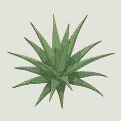 Fototapeta premium Aloe vera cartoon vector illustration