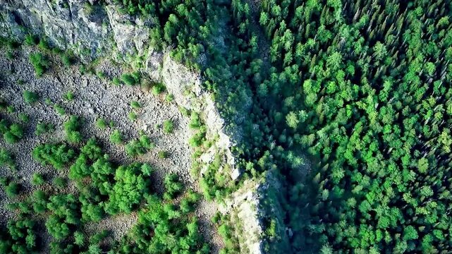Bird's eye view on mixed green forest and rocks from mountain during summer day. Aerial view of a through deep forest. Bird eye view of a Green Forest road. Drone shot.
