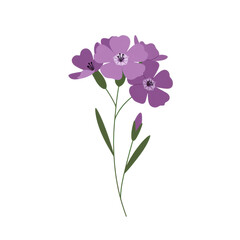 Obraz premium Delicate purple flower arrangement against a white background isolated on white background