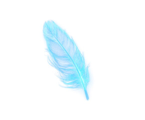 Obraz premium Glowing Blue Feather Silhouette with Neon Aura for Design Overlay PNG