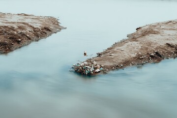 Small Island of Trash in River, Environmental Pollution Landscape