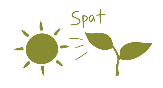 Spat Seedling Growing Under Sunlight Illustration.