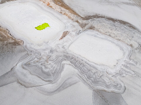 Aerial view of textured salt flats with a vibrant green leaf resting in a white pool, Old Chandler Potash Mine Site, Western Australia, Australia.