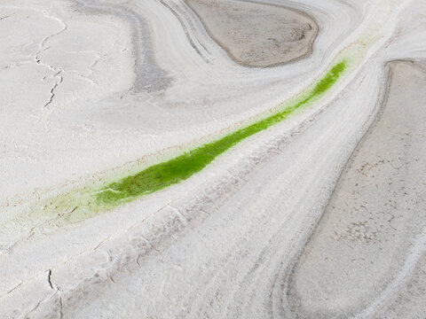 Aerial view of a vivid green algae bloom cuts through the stark white and grey patterned earth, Old Chandler Potash Mine Site, Western Australia, Australia.
