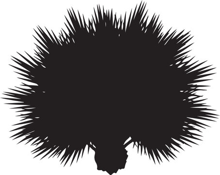 Black silhouette of a porcupine on white background illustration