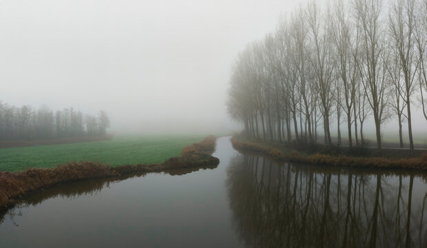 Foggy polder landscape with river and trees in the Netherlands