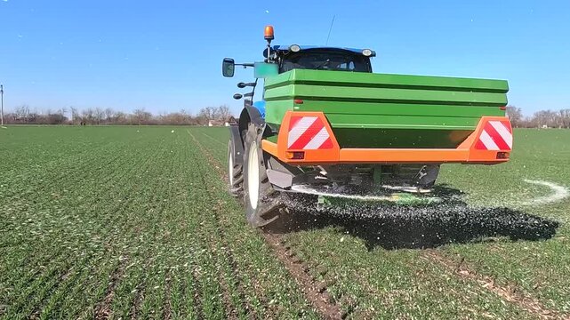 Tractor and spreader fertilizer working on wheat field, slow motion. Farmer with agricultural machinery fertilizing wheat field in winter time. Spreading mineral fertilizer, landscape rural scene