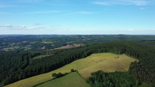 Drone shot of rolling green fields and dense forests in the Morvan region under a clear blue sky. Idyllic rural scenery with wide natural vistas.