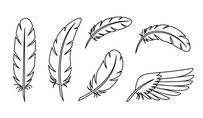 Minimal outline bird feather icon collection vector isolated on transparent background © MDRahul