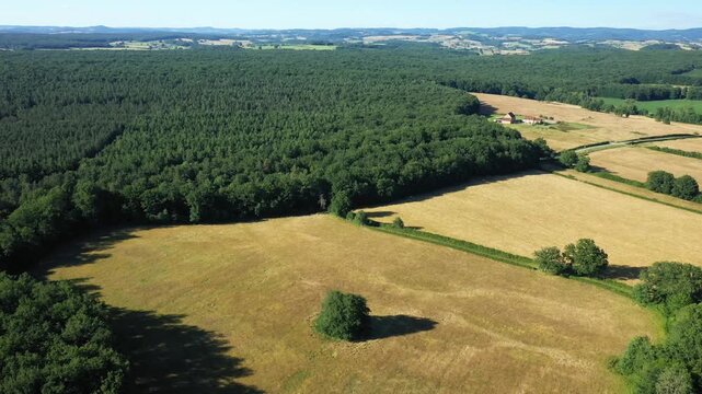 Drone shot of open fields, forests, and rolling hills in the Morvan countryside on a clear summer day.