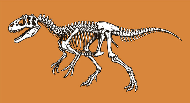 Detailed Allosaurus Skeleton Dinosaur Vector Illustration