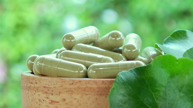Herbal capsules contain powdered gotu kola and gotu kola leaves in a wooden bowl.A natural dietary supplement.