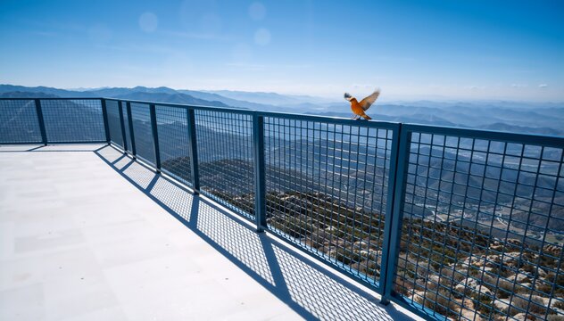 Observation Platform Railing Observation Deck