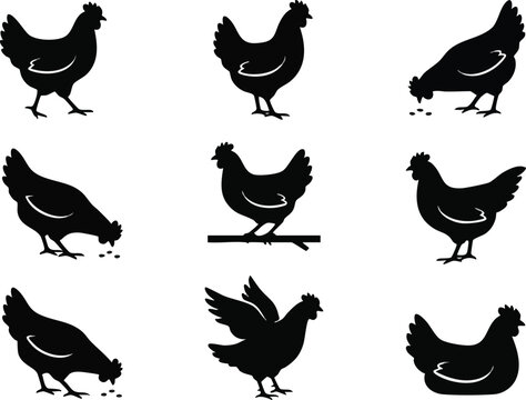 Black Silhouette Chicken Various Poses.