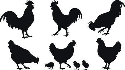 Silhouette of Roosters and Hens with Chicks. © rama coloring studio