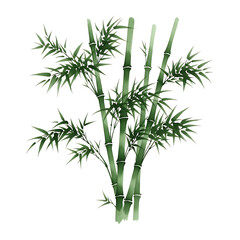 Obraz premium A serene watercolor painting of bamboo stalks on a white background